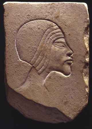 amarnano31